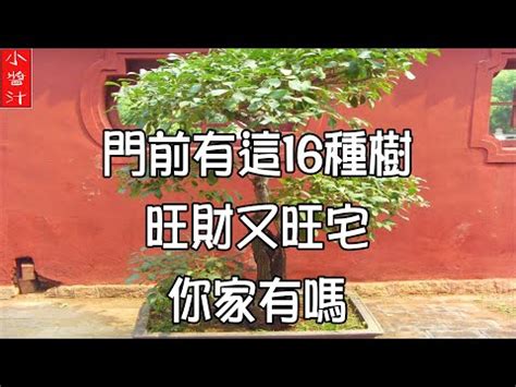 龍眼樹 風水|【龍眼樹在風水學的用意】龍眼樹的風水作用 